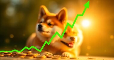 dogecoin price rally forecast