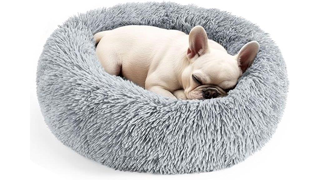 indoor pet bed