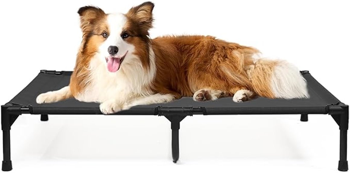 large elevated dog bed