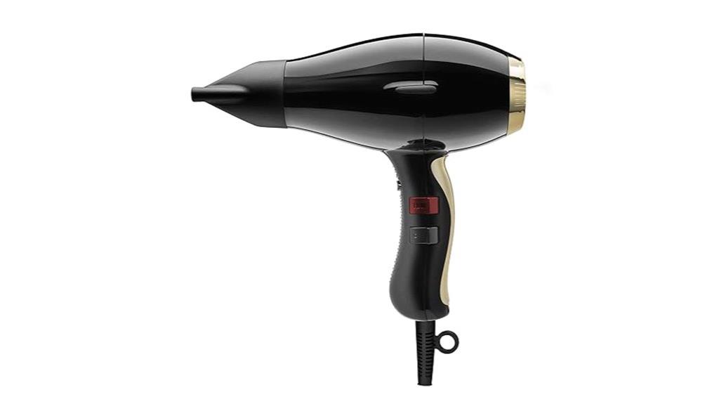lightweight ionic hair dryer