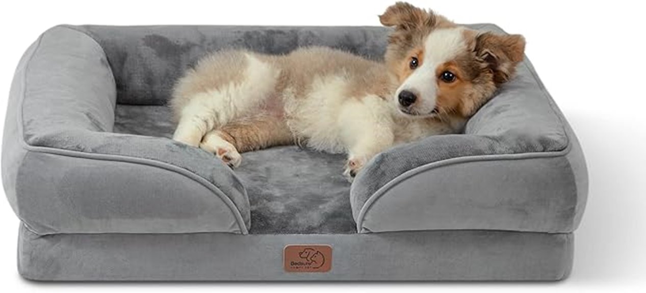medium dog orthopedic bed