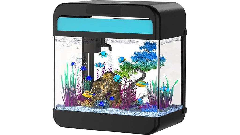 small aquarium with lighting