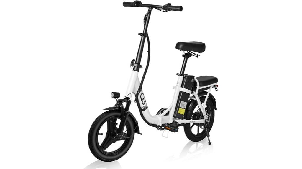 adult electric bicycle