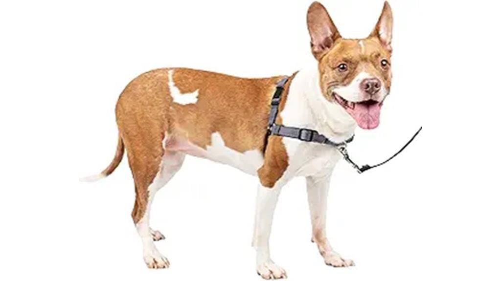 comfortable adjustable walking harness