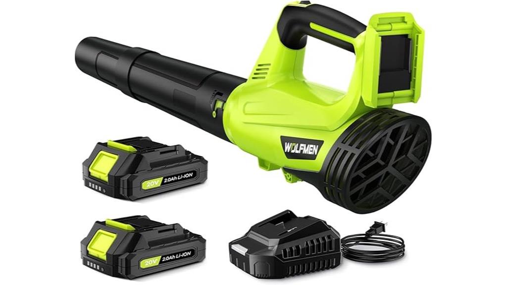 cordless leaf blower kit