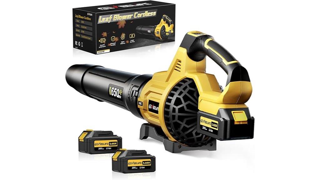 cordless leaf blower set