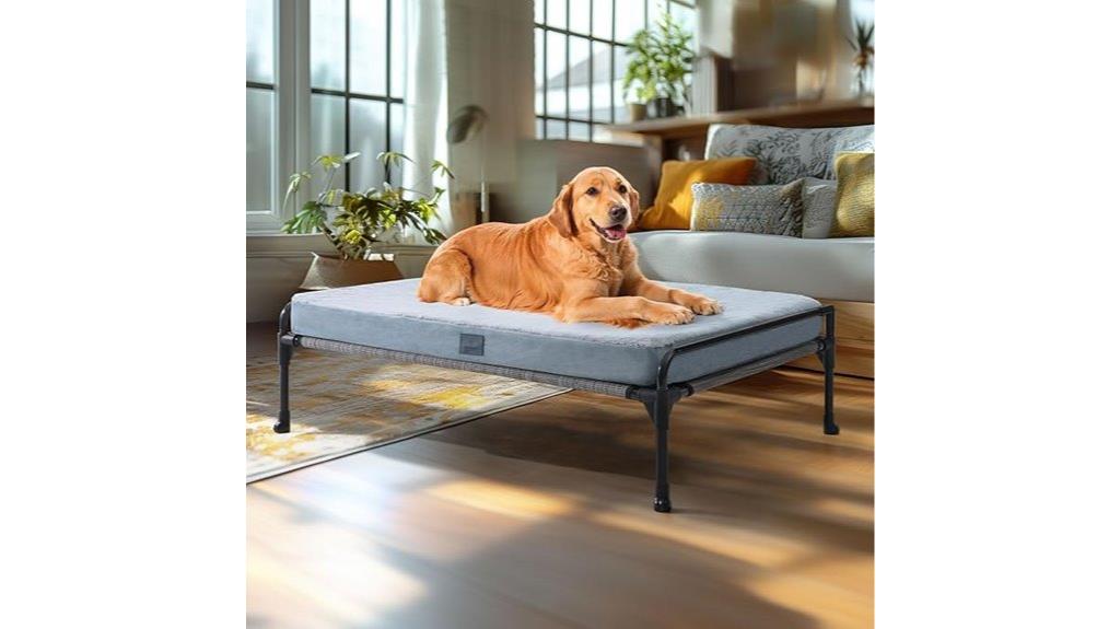 elevated raised dog bed