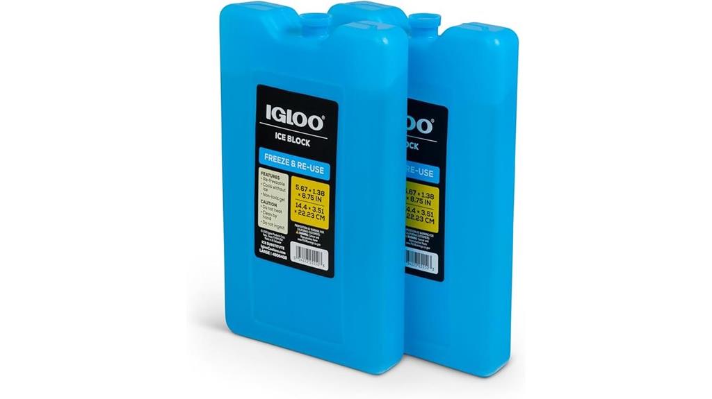 insulated ice storage container