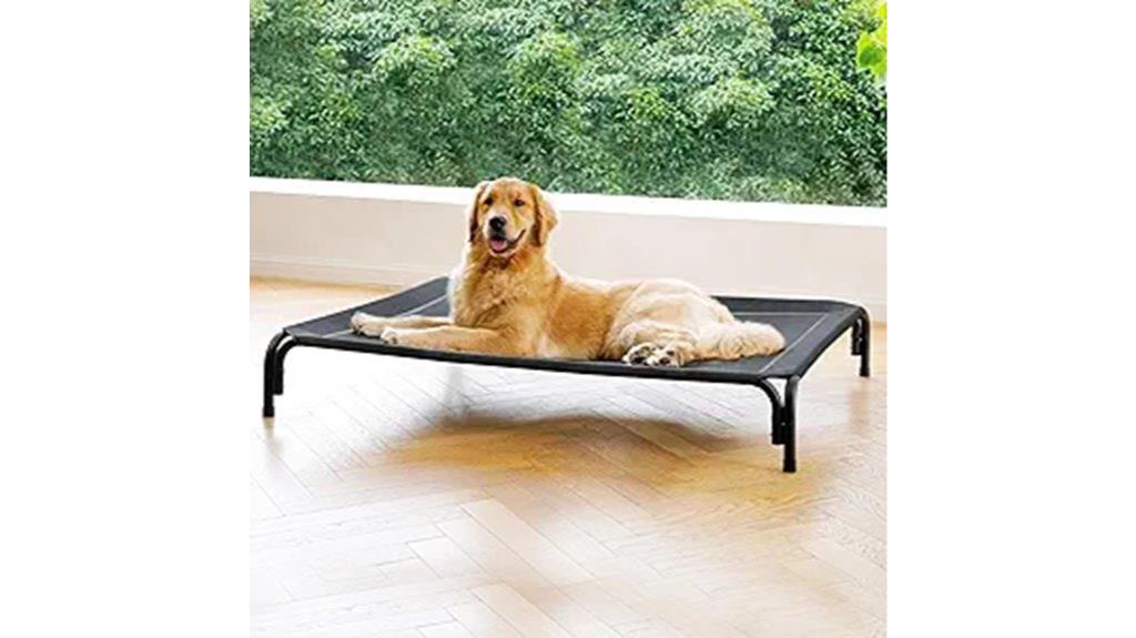 large dog elevated bed