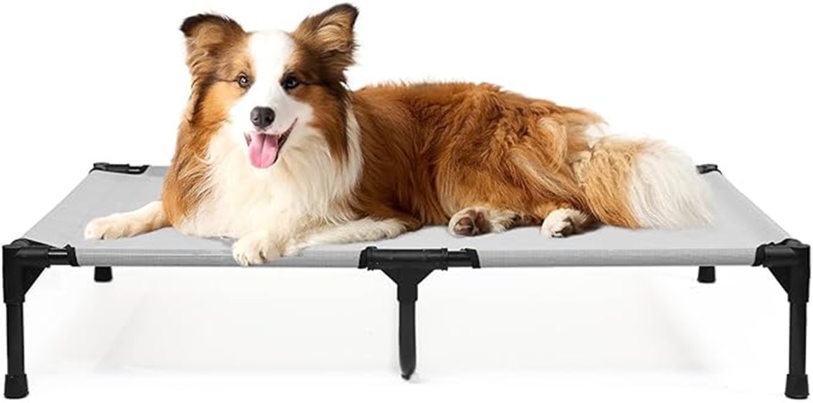 large dog elevated bed