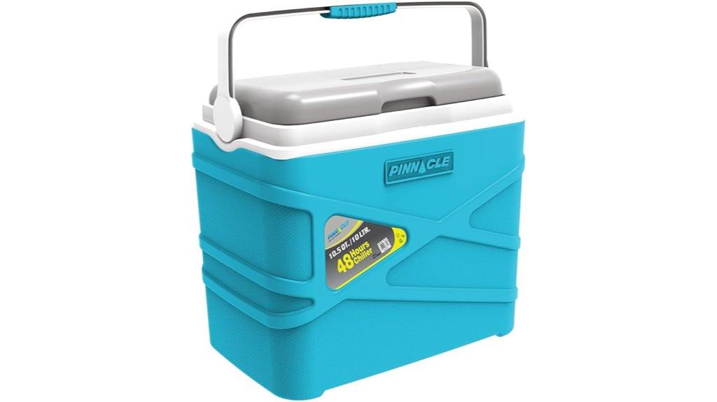 large insulated lunch box