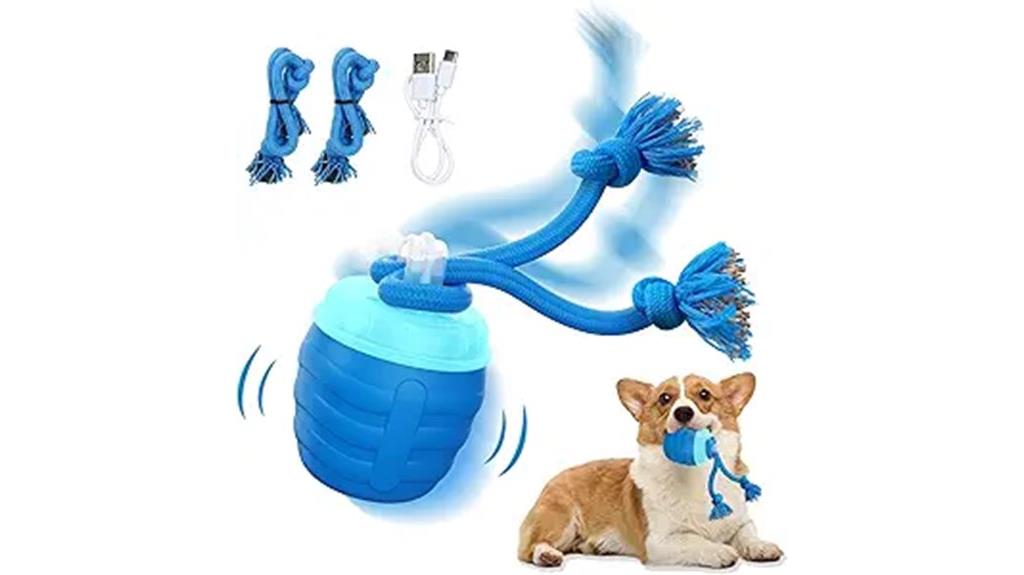 moving ball dog toy