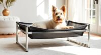 top elevated dog bed options
