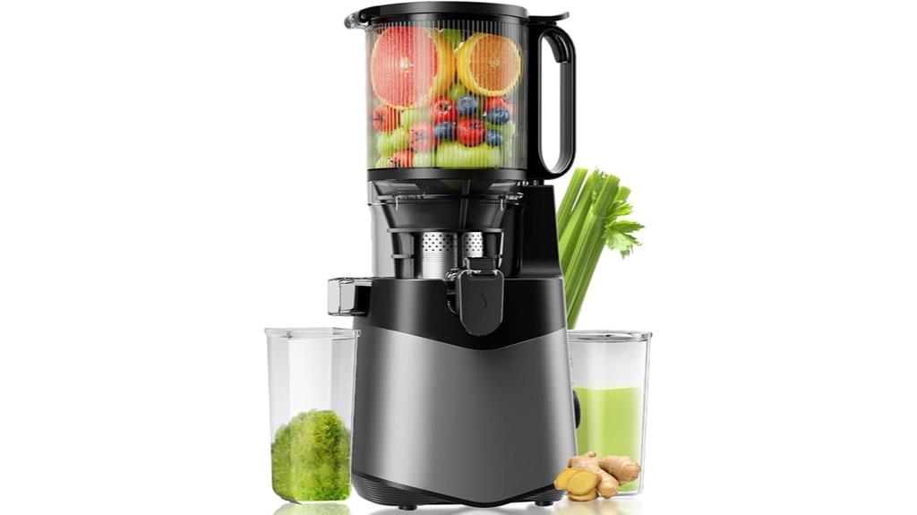 wide chute powerful juicer