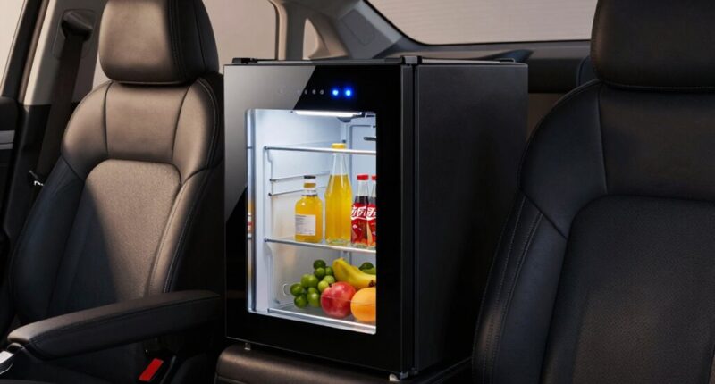 top 15 dual zone coolers