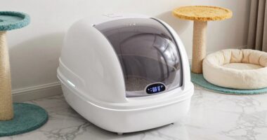 top 15 self cleaning litter boxes