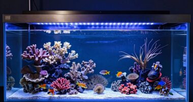 top aquarium lighting systems