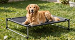 top elevated dog bed picks