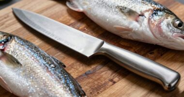 top fish fillet knife selection