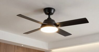 top smart light fans