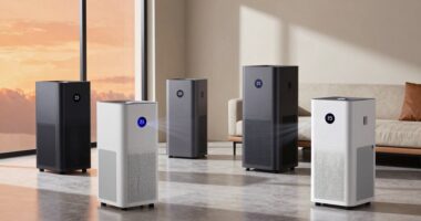 top wildfire smoke purifiers