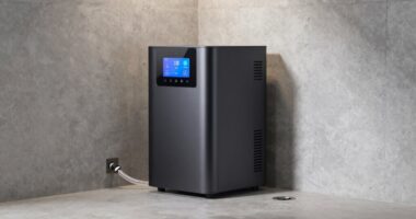 top basement dehumidifier picks