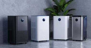 top basement dehumidifier picks
