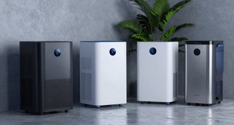 top basement dehumidifier picks