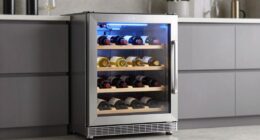 top dual zone wine coolers