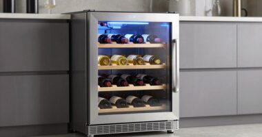 top dual zone wine coolers