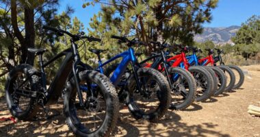 top fat tire e bikes