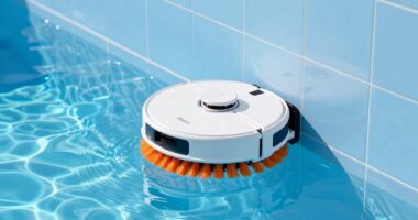 top wall climbing robotic cleaners