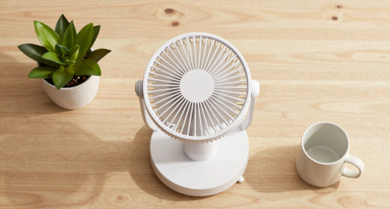 10 Best Best Designer Tower Fan Premium in 2026
