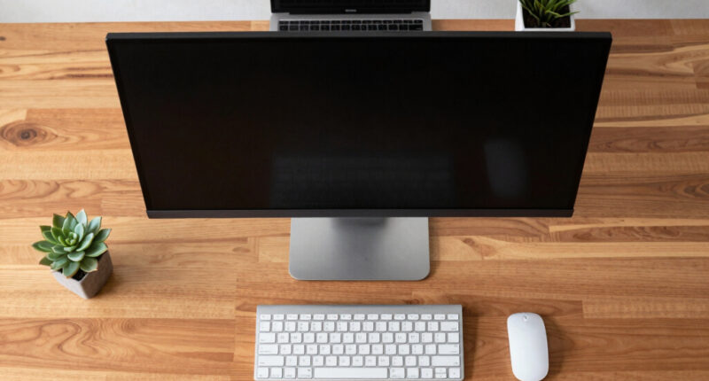 10 Best Premium Ultrawide Monitors for Traders in 2026