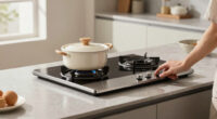 11 Best Premium Induction Range Portable in 2026