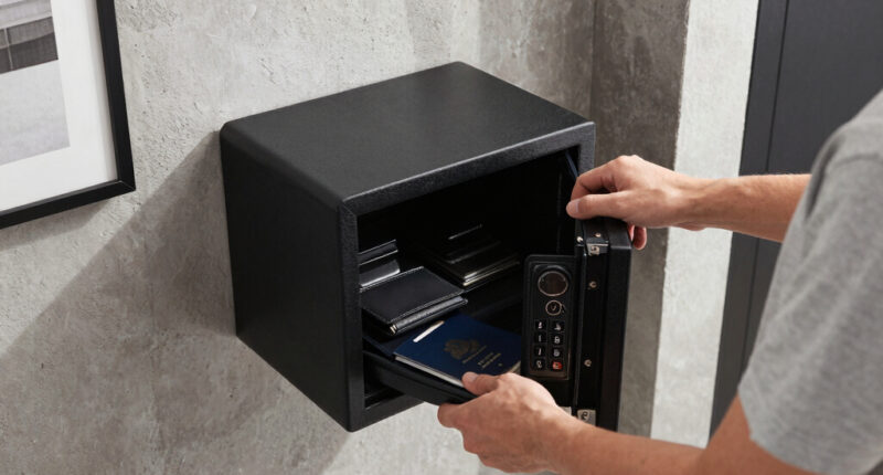 12 Best Luxury Safe for Hardware Wallets and Passports in 2026