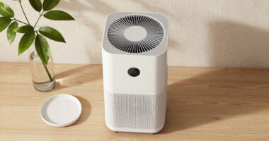 12 Best Premium Air Purifiers for Luxury Interiors in 2026
