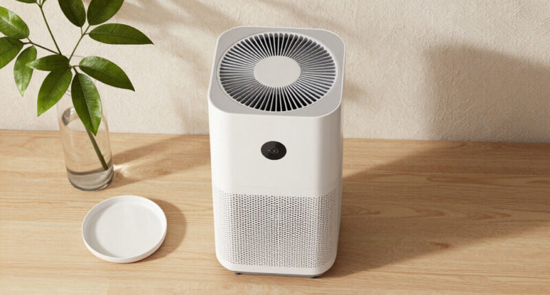 12 Best Premium Air Purifiers for Luxury Interiors in 2026
