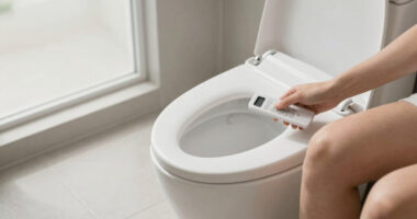 12 Best Premium Bidet Toilet Seat With Dryer in 2026