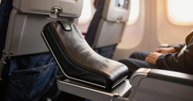 14 Best Best Premium Airplane Footrest Travel Accessory in 2026
