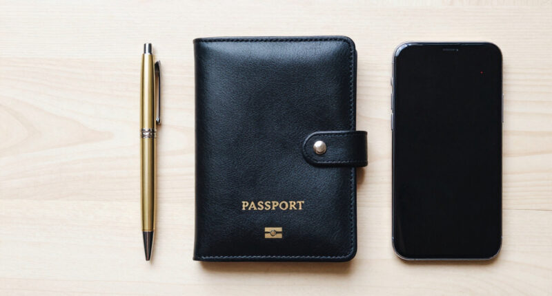 8 Best Luxury Passport and Document Holder Lockable in 2026