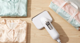 8 Best Premium Garment Steamer For Delicate Clothing In 2026
