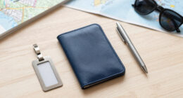 8 Best Premium Travel Safe For Passports In 2026