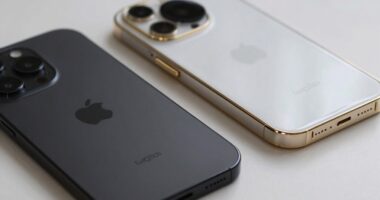 quality versus status symbol