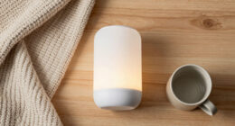 2 Best Home Night Lights in 2026