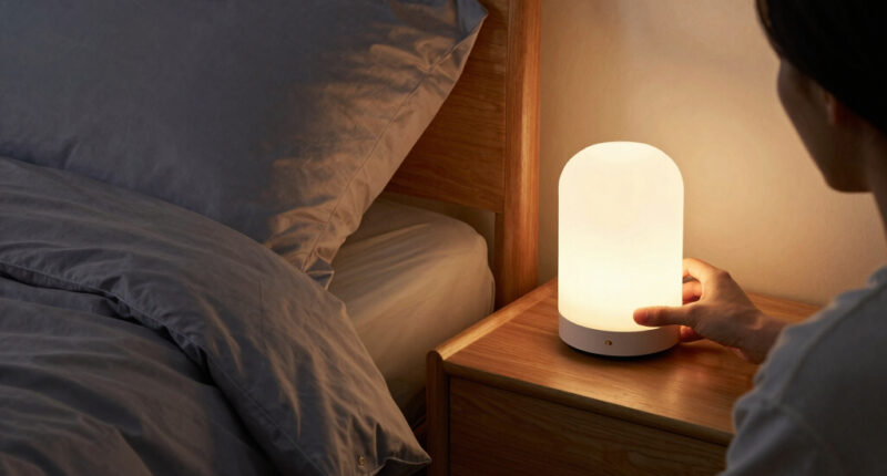 2 Best Home Night Lights In 2026