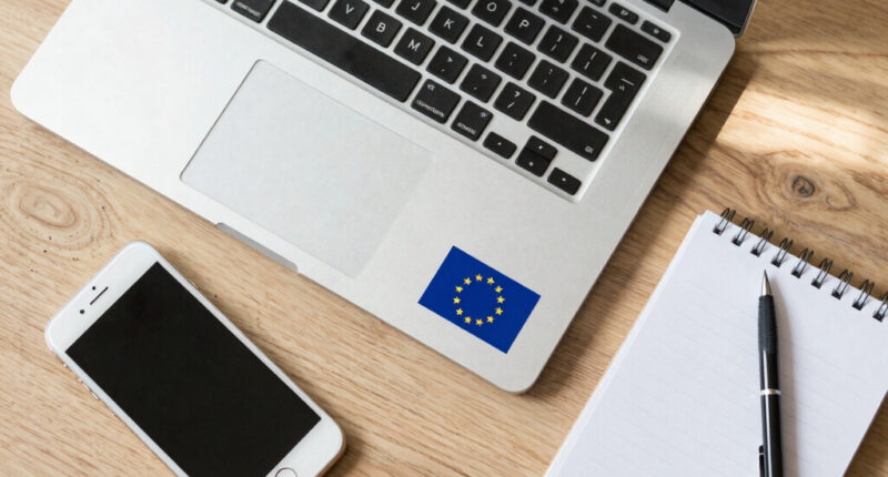 The European Union: Rules First, Cushion Always