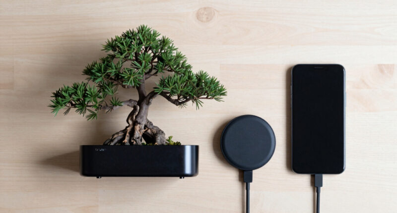 Bonsai 27B: A 27B-Class Model That Runs On A Phone