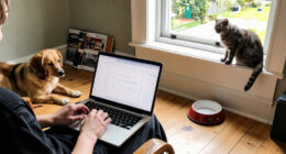 Pet Trends In Yorkshire: A Google Trends Overview